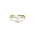 Pear Hidden Halo Moissanite Engagement Ring